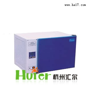 电热恒温培养箱-DHP-9012